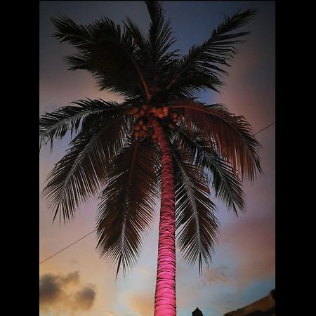 La Palmera Hostel Пуэрто-Эскондидо Экстерьер фото